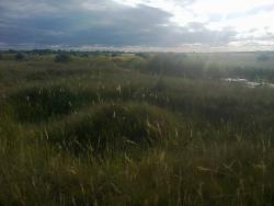 post-12097-0-60152700-1379516110_thumb.j