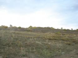 post-12373-0-51230000-1379315914_thumb.j