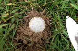 post-13262-0-21808600-1378091770_thumb.j