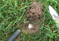 post-13262-0-86363600-1378091715_thumb.j