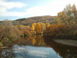 post-20472-0-44303900-1380538575_thumb.j