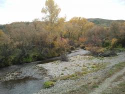 post-20472-0-48187200-1380538577_thumb.j