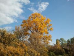 post-20472-0-77893600-1380538576_thumb.j