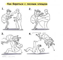 post-24709-0-71053100-1379314036_thumb.j