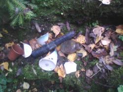 post-26744-0-10866300-1379790882_thumb.j