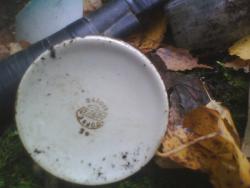 post-26744-0-71372300-1379790888_thumb.j