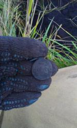 post-26894-0-10085800-1380164872_thumb.j