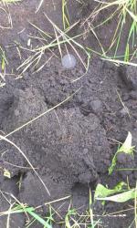 post-26894-0-71696200-1380164488_thumb.j