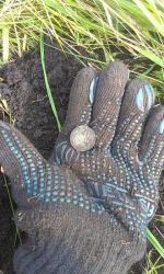 post-26894-0-78773600-1380164264_thumb.j