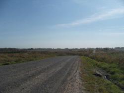 post-27127-0-13551900-1380116925_thumb.j