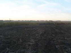 post-27127-0-59041900-1380116924_thumb.j