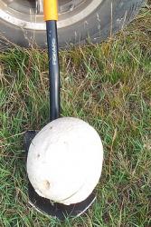 post-27133-0-56205100-1379996839_thumb.j