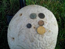 post-27133-0-93723700-1379996805_thumb.j