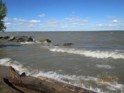 post-27143-0-11735000-1379083232_thumb.j