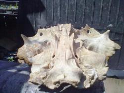 post-28518-0-43046300-1378741155_thumb.j