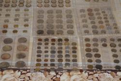 post-28597-0-96752100-1378324571_thumb.j