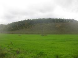 post-28645-0-41829400-1379956656_thumb.j