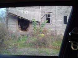 post-28645-0-60768600-1380516866_thumb.j