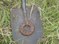 post-28645-0-83510200-1379957201_thumb.j