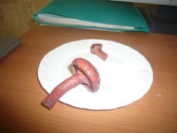 post-28713-0-42836600-1378541752_thumb.j