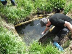 post-28905-0-01291700-1379962579_thumb.j