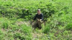 post-28905-0-53190200-1379962581_thumb.j