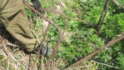 post-28905-0-85028500-1379962582_thumb.j