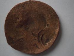 post-28943-0-40005400-1380307732_thumb.j