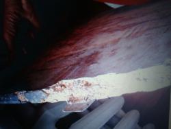 post-28961-0-46401600-1380483448_thumb.j