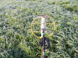 post-3295-0-60066200-1378654642_thumb.jp