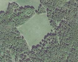 post-4114-0-04938200-1380213054_thumb.jp