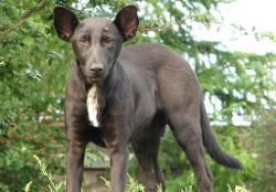 post-4131-0-95858100-1380350302_thumb.jp