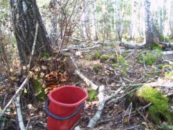 post-4269-0-14405300-1379516986_thumb.jp