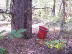 post-4269-0-54673400-1379516936_thumb.jp