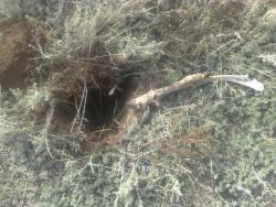 post-4322-0-54622400-1378310941_thumb.jp