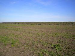 post-4632-0-22677900-1378651430_thumb.jp