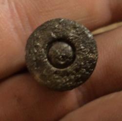 post-7121-0-31232000-1378997299_thumb.jp