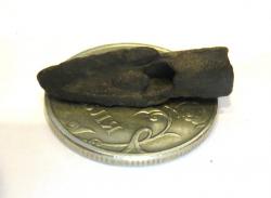 post-9320-0-01252200-1378741304_thumb.jp