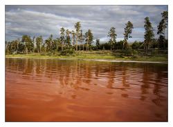 post-9320-0-96750300-1378029391_thumb.jp