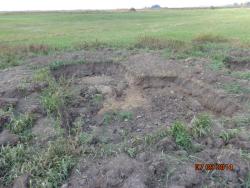 post-10547-0-01641000-1410446431_thumb.j