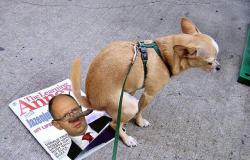 post-10547-0-12968400-1411572656_thumb.j