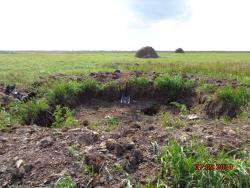 post-10547-0-14671200-1410446356_thumb.j