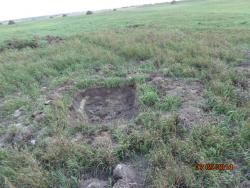 post-10547-0-40971700-1410446474_thumb.j