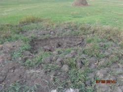 post-10547-0-85292300-1410446451_thumb.j