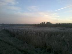 post-14555-0-23574000-1411848813_thumb.j