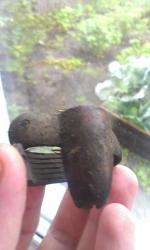 post-26894-0-20577000-1410607717_thumb.j