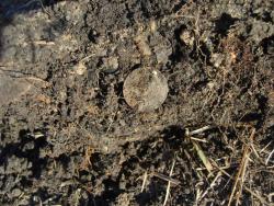 post-27127-0-19811200-1410093693_thumb.j