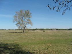 post-27127-0-30304300-1410094220_thumb.j