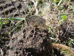 post-27127-0-58123800-1410094350_thumb.j