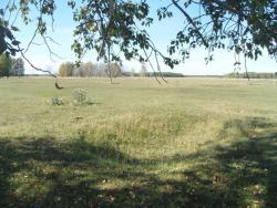 post-27127-0-63647400-1410094219_thumb.j